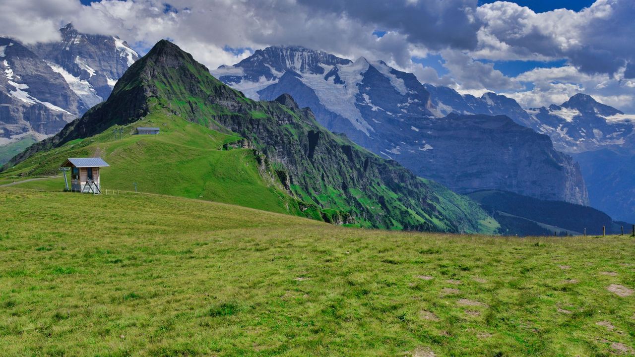 Green summer meadows below a ridge of snow-capped peaks and glaciers under a blue sky