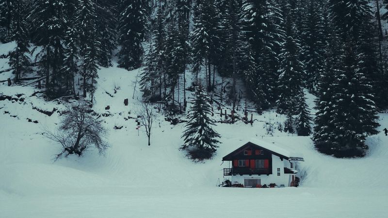 A chalet with red shutters alone in deep snow below a forest of snow-covered firs
