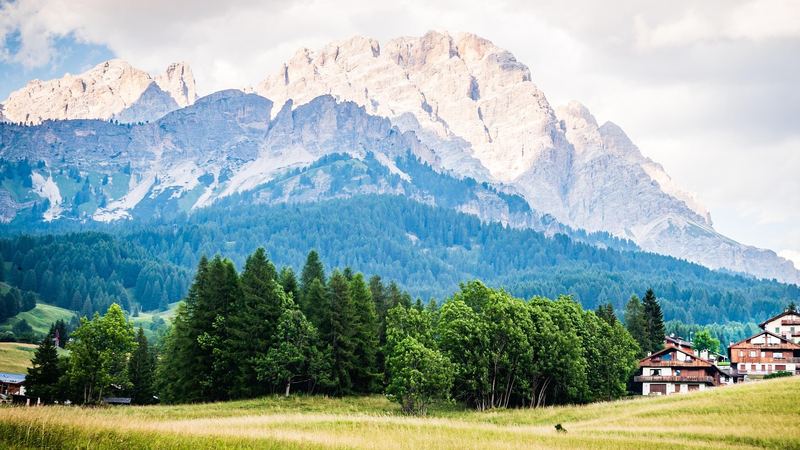 A green meadow and fir trees below great pale Dolomite peaks, timber chalets at the edge