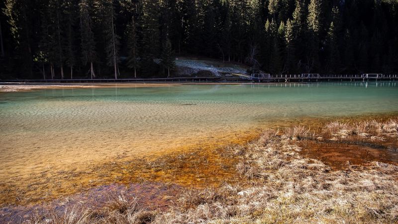 A clear turquoise lake edged with autumn grasses below a dark forest of firs