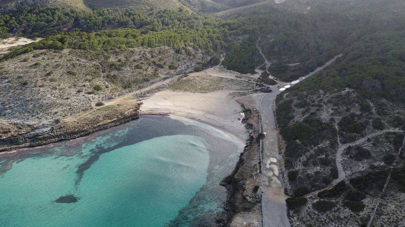 A turquoise cove and white sand beach below pine-covered hills in Mallorca