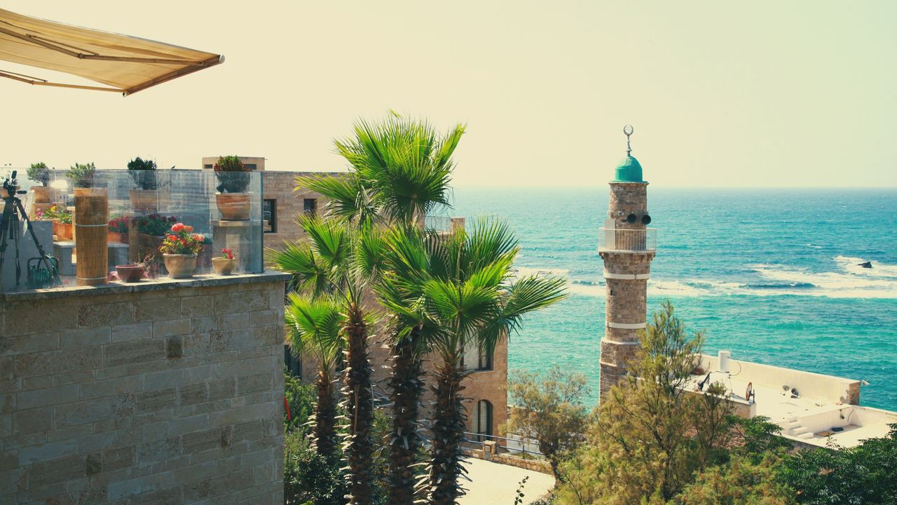 Palm trees and the minaret of old Jaffa above a turquoise Mediterranean