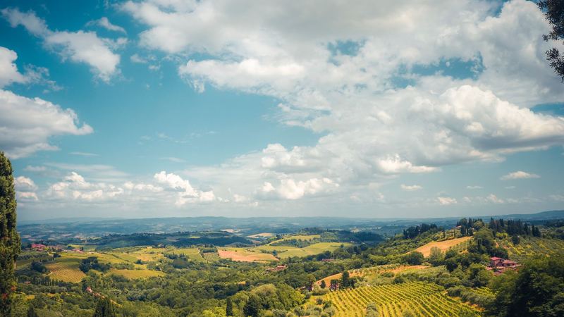 Vineyards, woods and green hills rolling away to the horizon under a summer sky