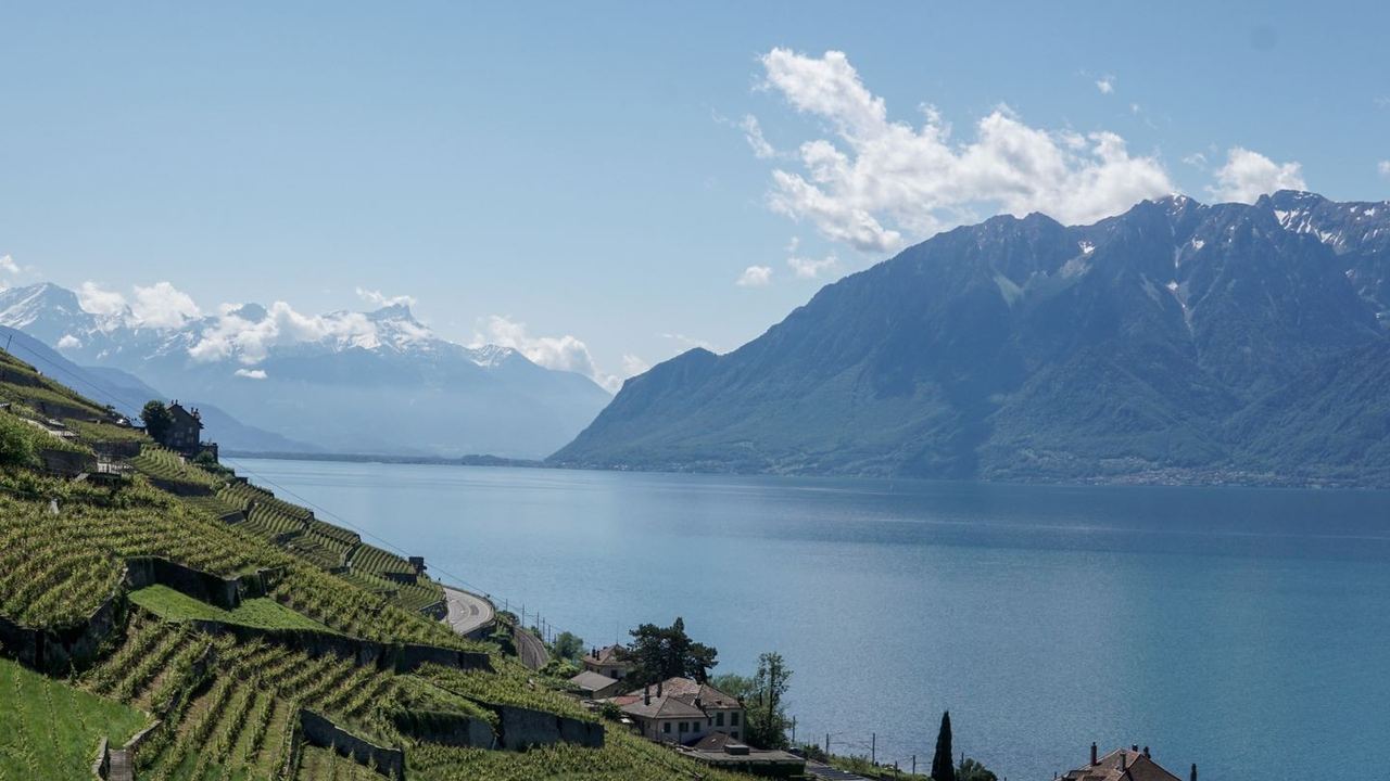 The terraced vineyards of Lavaux above Lake Geneva