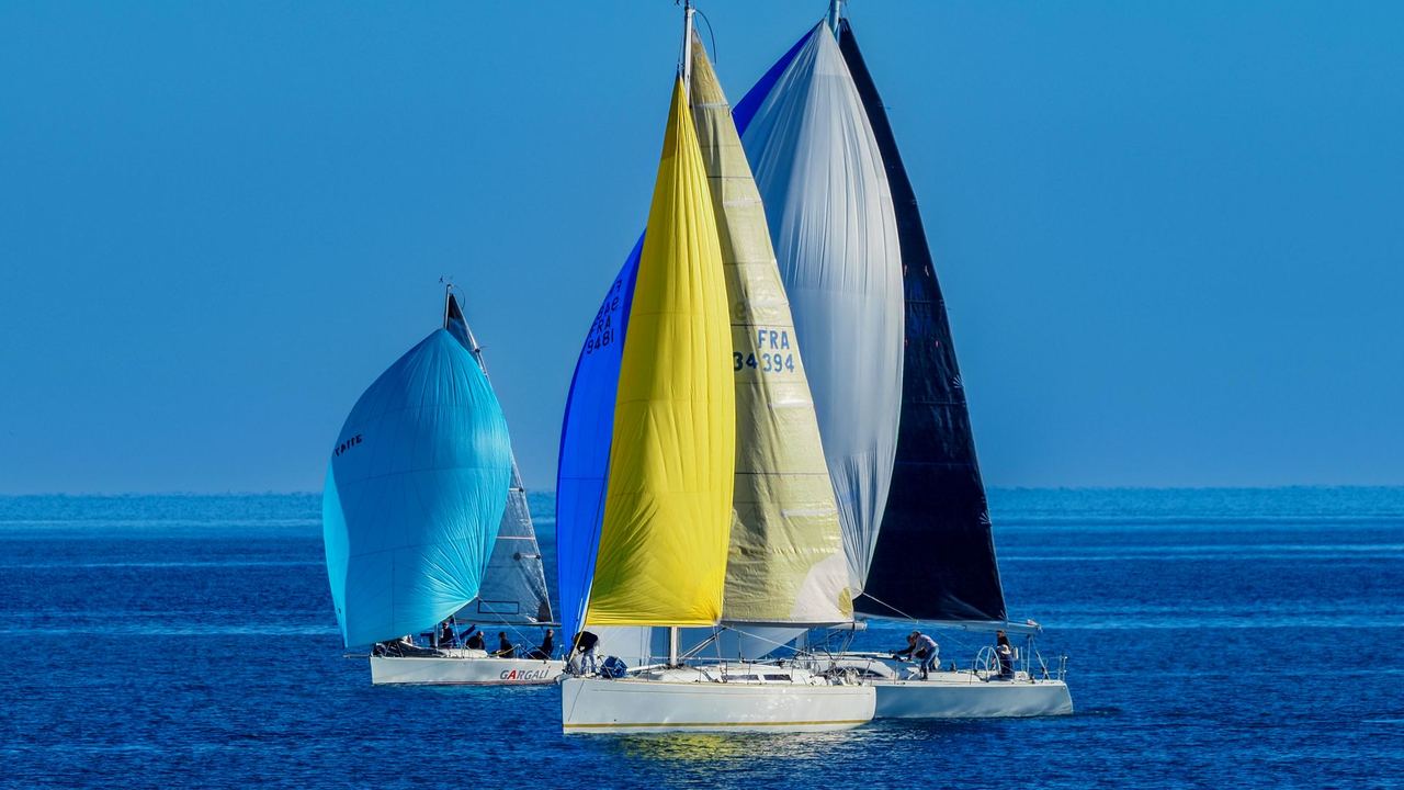Sailboats racing under a blue sky