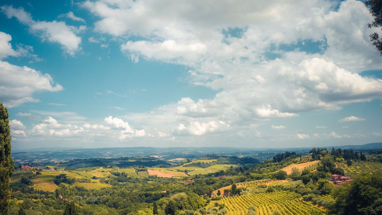 Tuscan vineyards under a blue sky