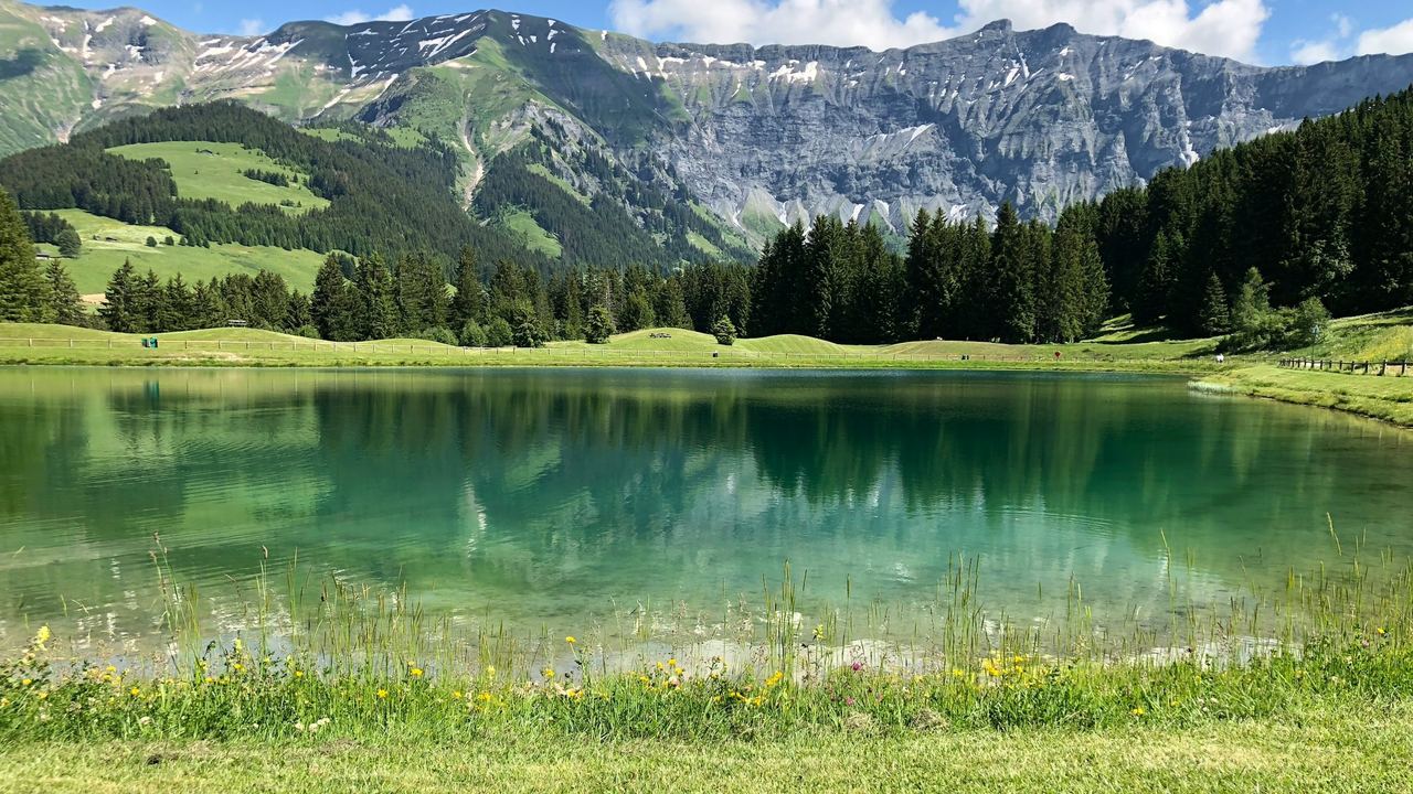 A turquoise mountain lake ringed by firs and meadows below grey cliffs on a summer day