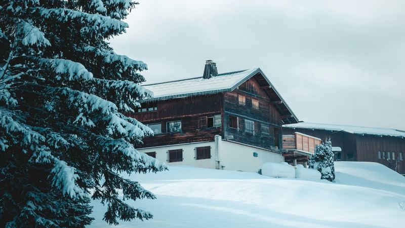An old timber chalet in deep snow beside a great fir heavy with snow