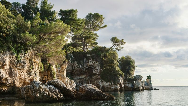Pine trees above the white limestone rocks and calm sea of Cap d’Antibes