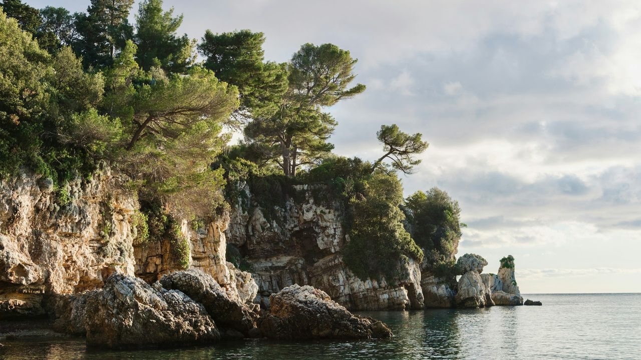 Pine trees above the white limestone rocks and calm sea of Cap d’Antibes