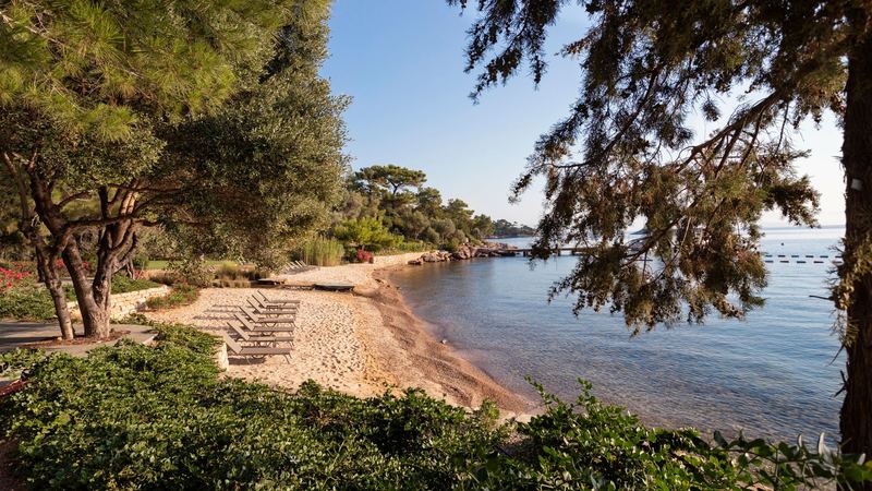 Sunbeds under pine trees on a quiet beach near Bodrum